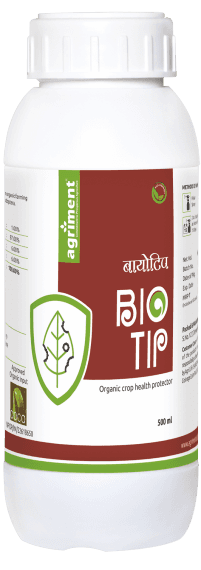 Biotip