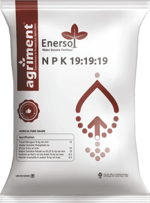 NPK 19-19-19