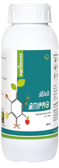 Amipro